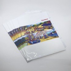 A4 Plastic Folder - ESSO